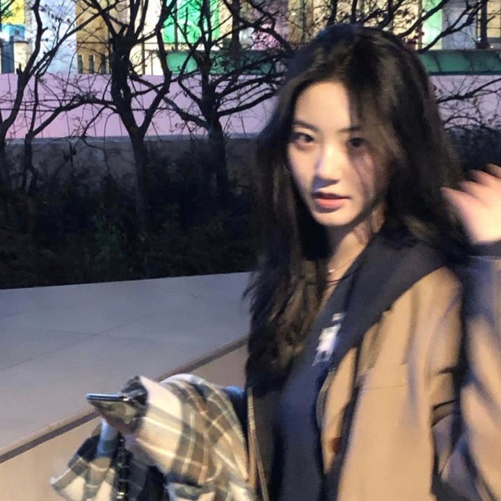 坚果行动2