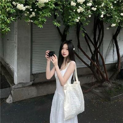 狸猫书生