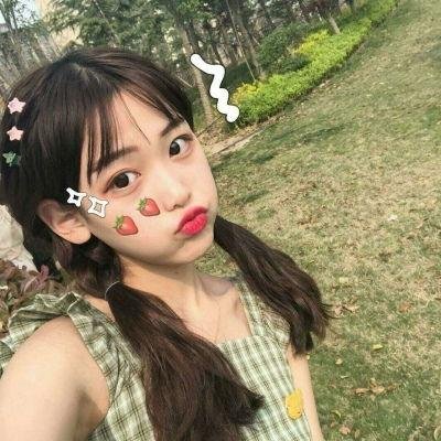 继承者风云